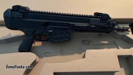 CZ Bren 2-2