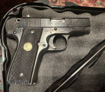 Colt Mustang in 380acp