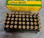 Remington 22 Hornet 45gr ammunition 