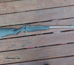 375 Ruger M77II Customized Rifle