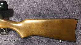 Ruger Mini 30 (1)