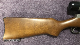 Ruger Mini 30 (4)