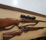 Remington 788 in 22-250