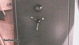 Liberty Safe 10