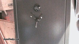 Liberty Safe 9