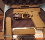 Glock 19x