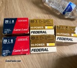 20 gauge ammo