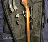 Custom 10/22