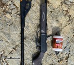 Daisy Air Rifle and BB Gun 