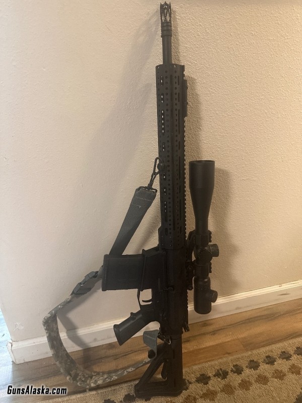Ar 10 308 alexandria pro fab with 2 5 to 10 optic firearms