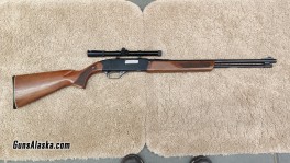 Wichester .22 pump