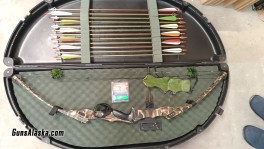 PSE Bow 2