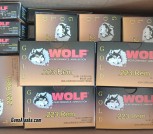 .223 Rem ammo 