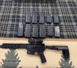 Wilson Combat Protector 300 blk pistol