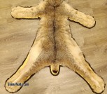 Lynx Rug