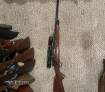 Winchester Model 70 in 375HH and optional extra cash for 6 boxes of 120rds premium hunting ammo