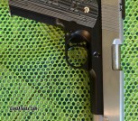 Dan Wesson Silverback