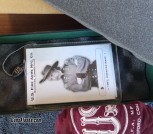 Pair of USFA 5-1/2 