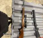 Remington 700 22-250