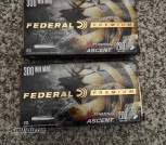 300 win mag 200gr Terminal Ascent 