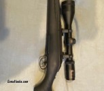 Ruger American .308 w/ Burris Scope