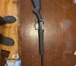 Multiple Rifles