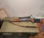 Remington Woodsmaster 742 in 3006