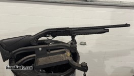 IMG_0659