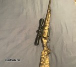 Ruger American go wild 300wm 