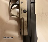 Sig p220 combat 
