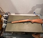 Marlin Model 880 in 22LR 