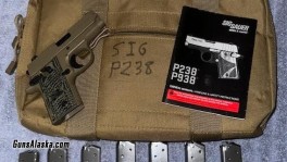 sig_p238_scorpion_overview