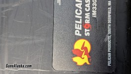 1000017387