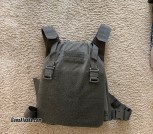 Plate carrier with plates