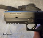 Sig P250 .45