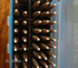 IMG_6535