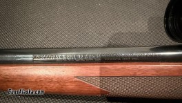 IMG_0453