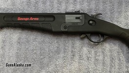 IMG_9064