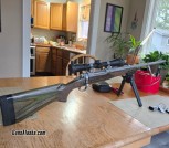 338 win mag, Ruger Guide Gun