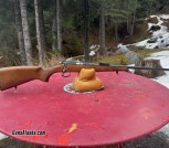 Cz 452 trainer 22lr
