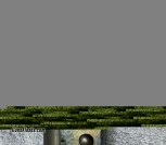 IMG_9338