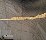 Winchester sx4 12gauge 