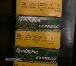 Remington 20 Gauge