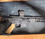 Custom 10mm ar15