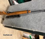 Ruger 10/22 with Scope