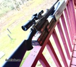 Ruger Alaskan chambered in .375 Ruger