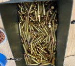 556/223 - 55grains