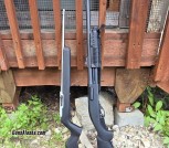 870 express / ruger 10/22