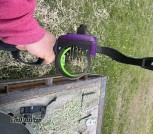 IMG_0372