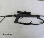 Ruger 10-22